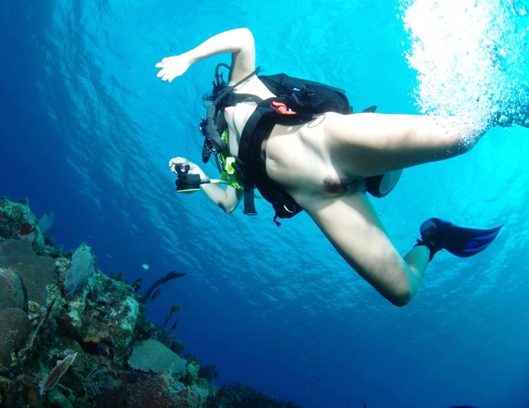 Naked Women Diving.