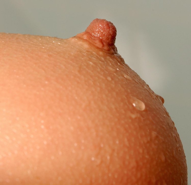 Close Up Of Nipples