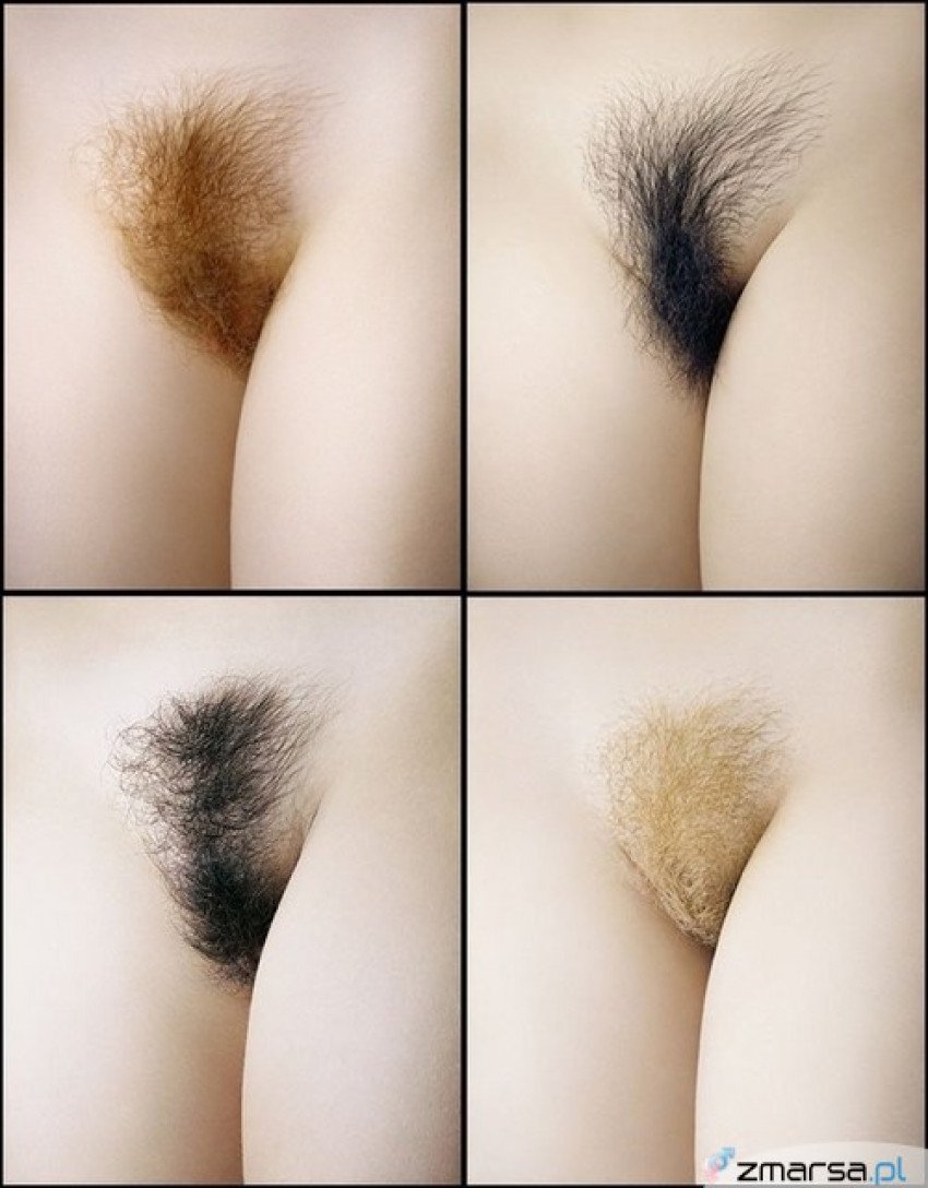 Long pubic hair