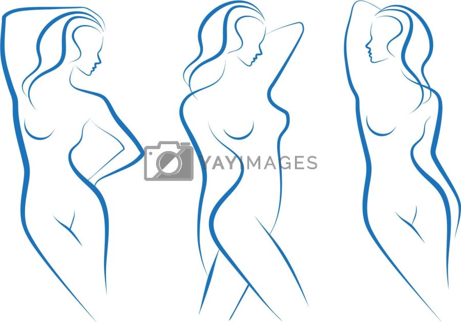 Outlines of a female body