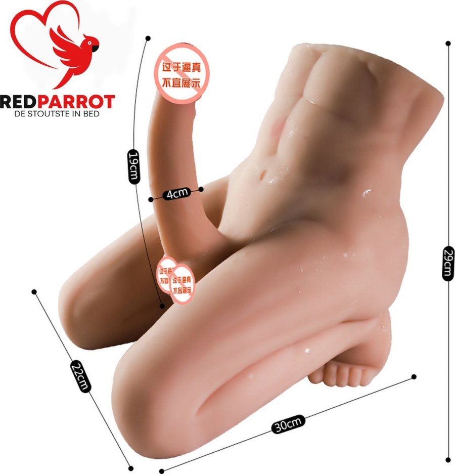 Male torso doll with penis