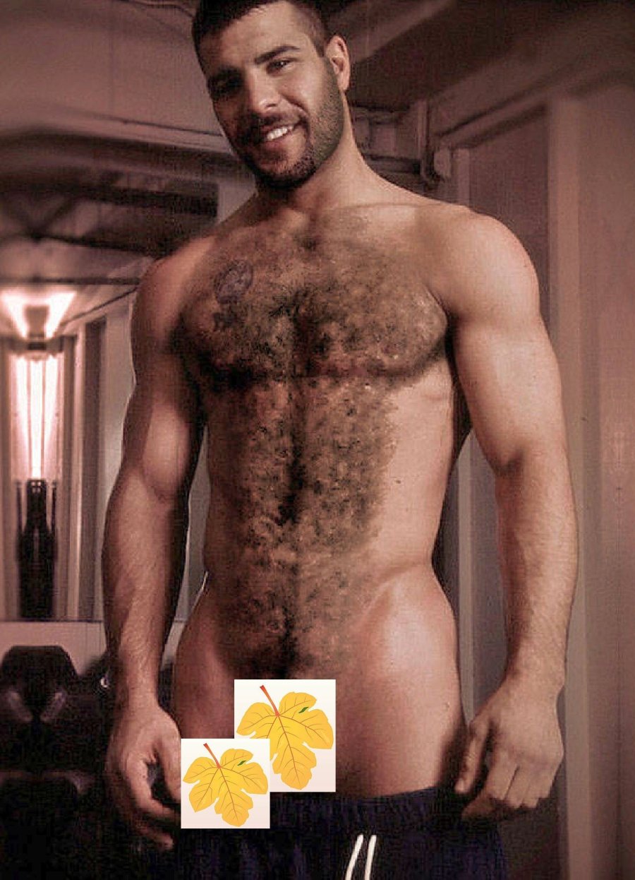Beautiful naked hairy guys