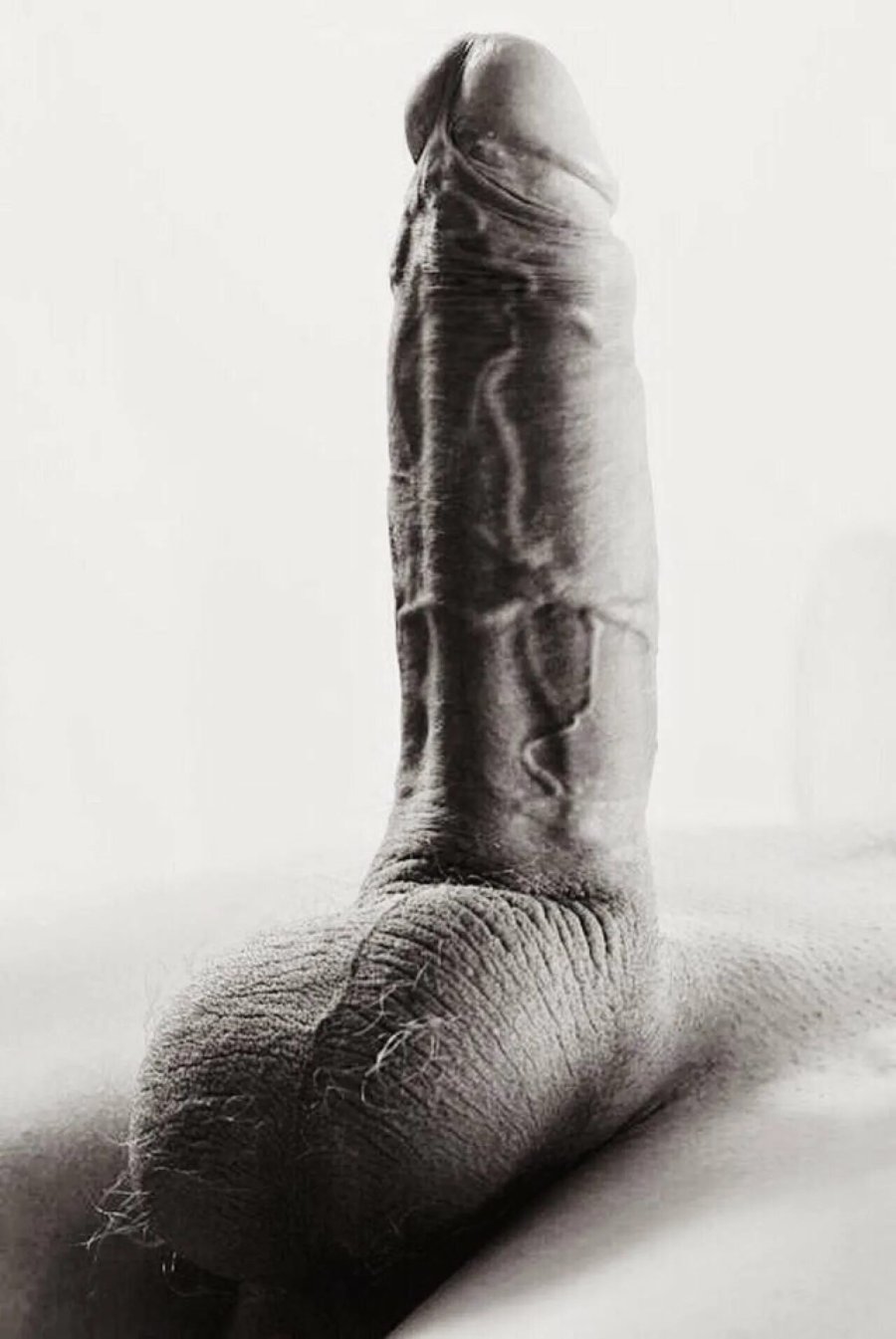 Huge beautiful penis