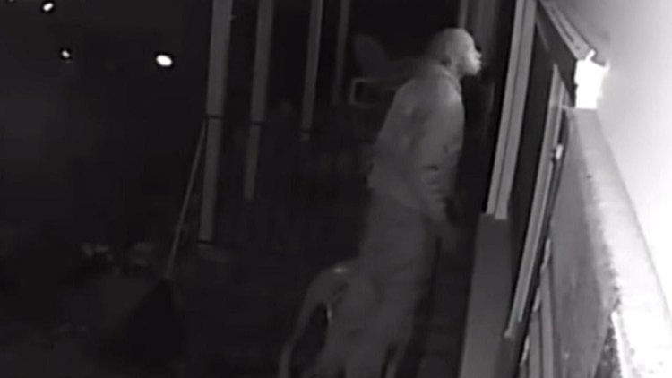 Elegant Eve 2021 Selfie