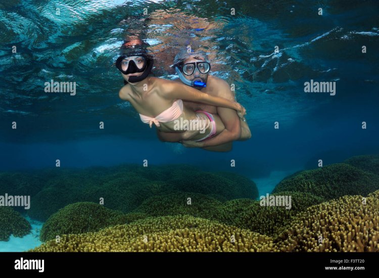 The Caribbean Sea Snorklin