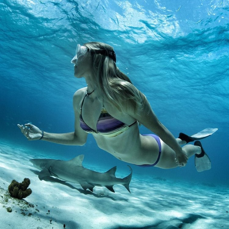 Rava Ray Koroleva Skatov 18 +