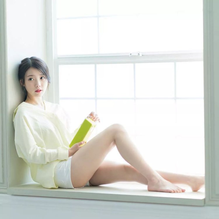 Search line without a background