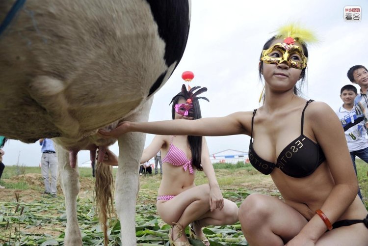 Anna Shuvalova Doyark