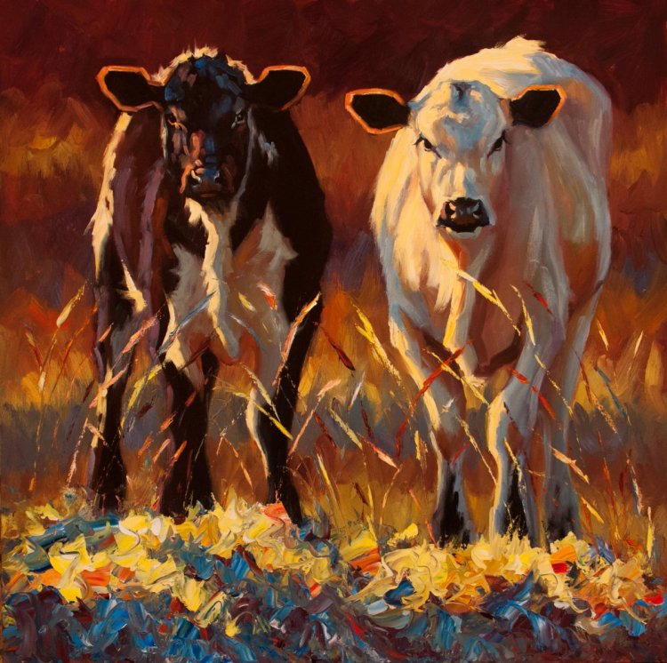 Picture of a cow spot