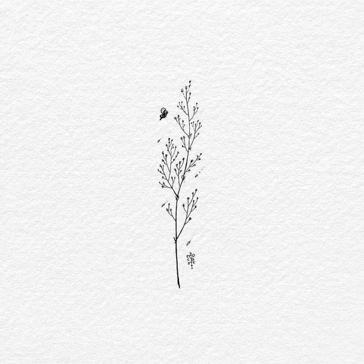 Wallpapers on the desktop aesthetics minimalism