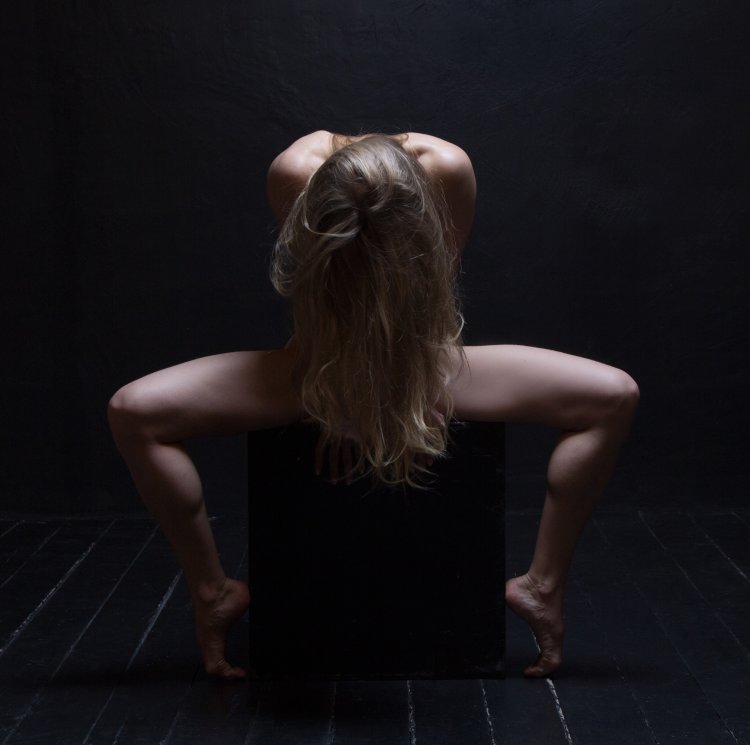 Toshiba GR-RT565RS (LS) refrigerator