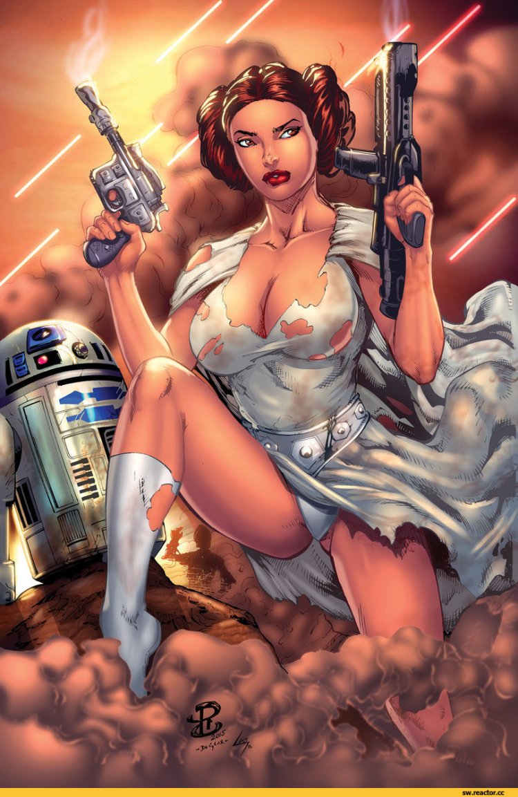 Princess Leia 18