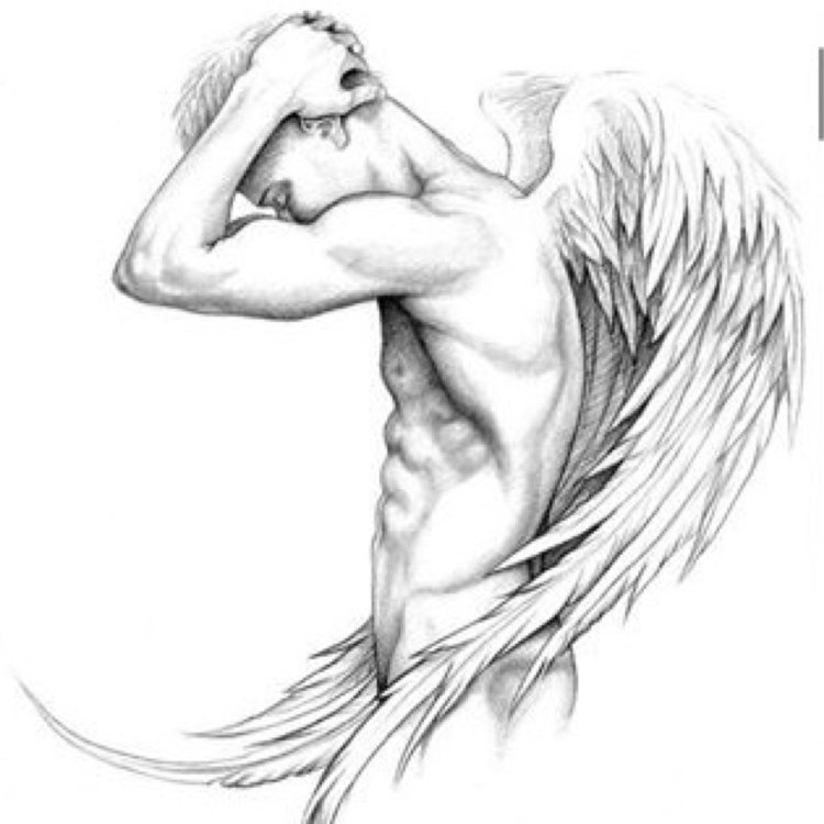 Illustrations in the style of minimalism