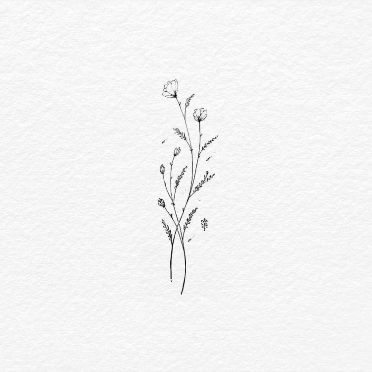 Sketches of tattoo minimalism
