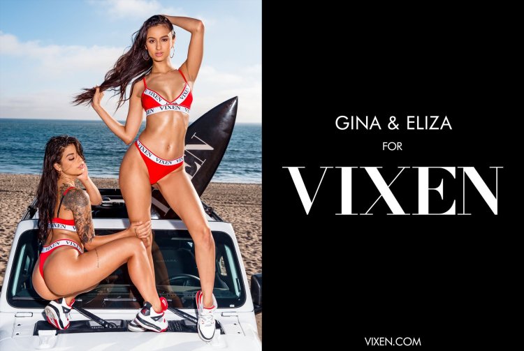 Vixen Models List