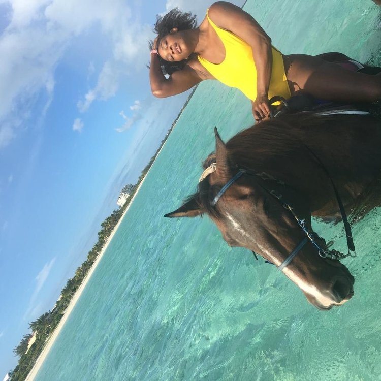 Vinus Williams Porn actress