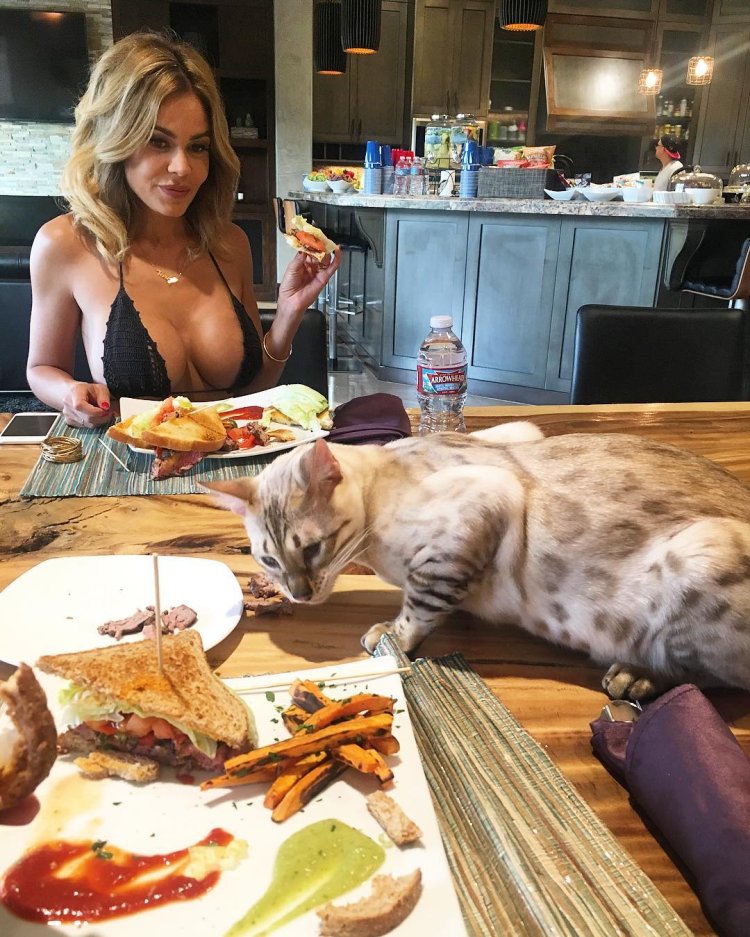 Cat Dan Bilzyan Instagram