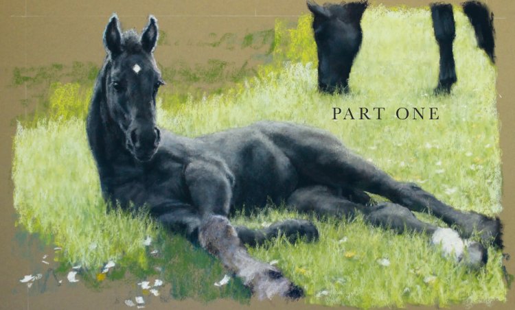 Kevin Baker Model Calvin Klein