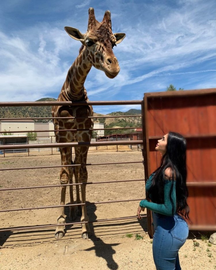 Jailyne Ochoa 2020 Naked