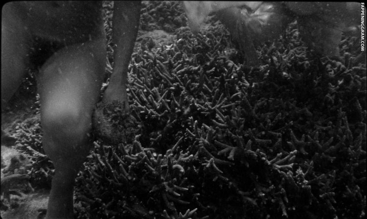 Miranda Bissonnett is naked