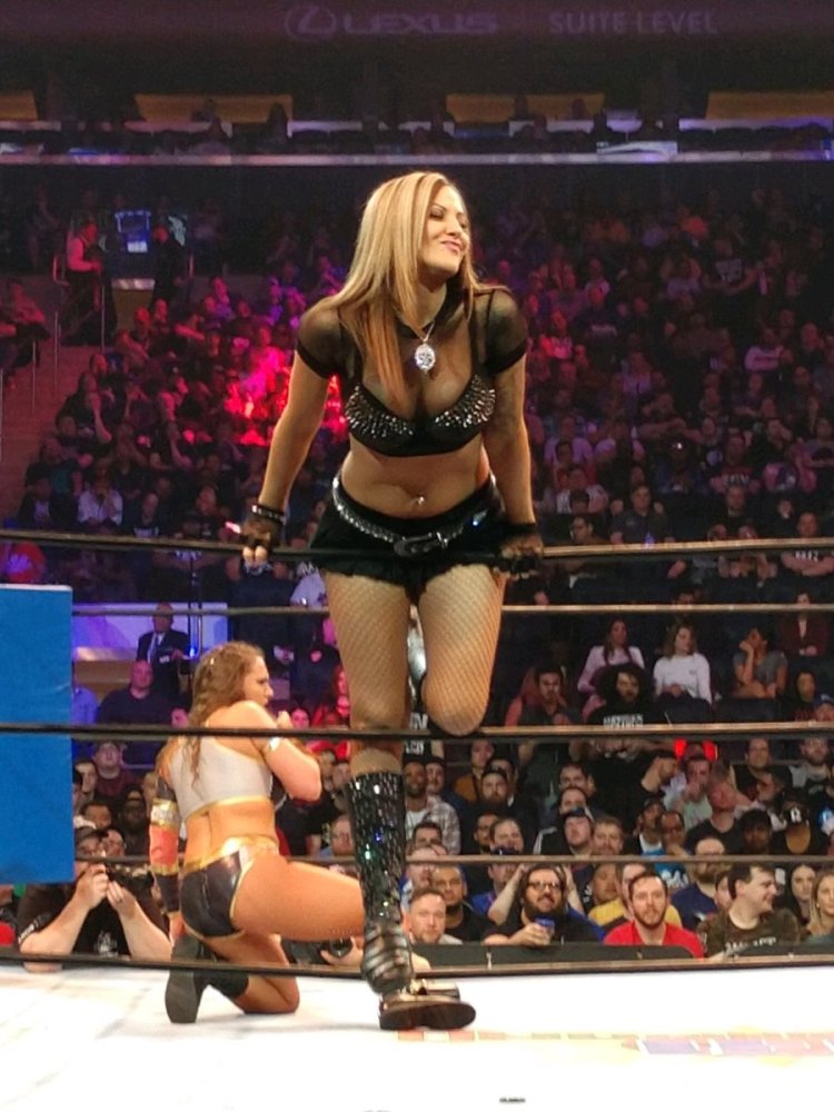 Virginia Velvet Photo