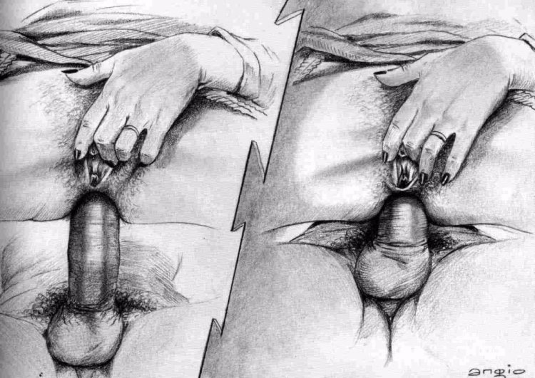 Pencil drawings of blowjob