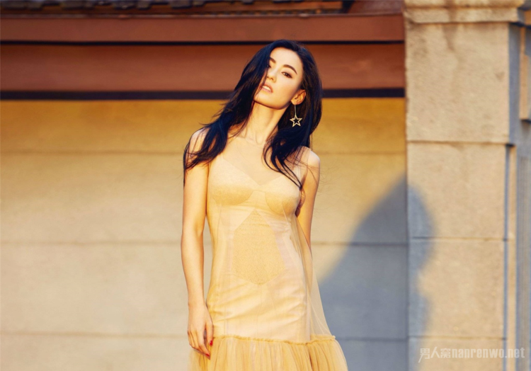 Pornographic 张柏芝