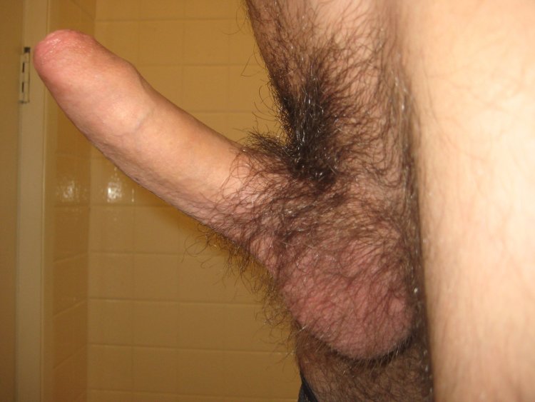 A young hairy penis