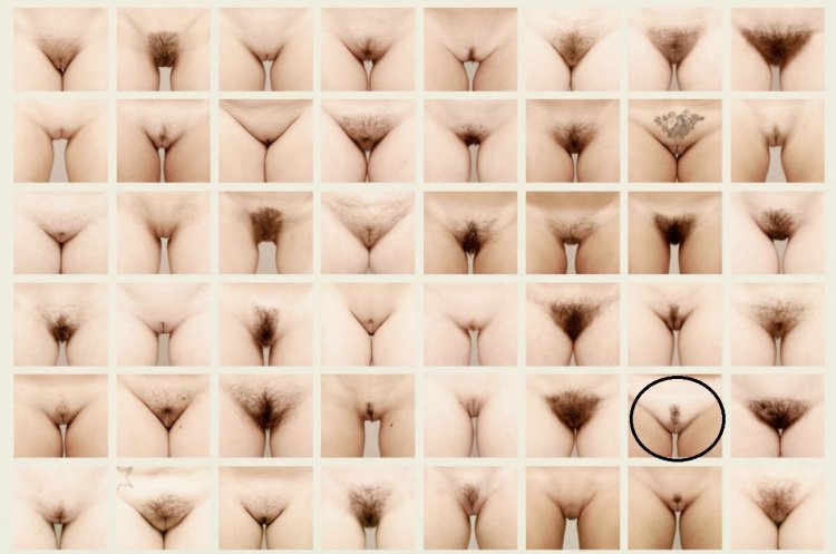 What is your vagina name