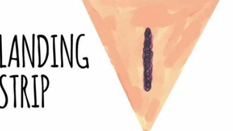 Beautiful girls with a hairy pubis