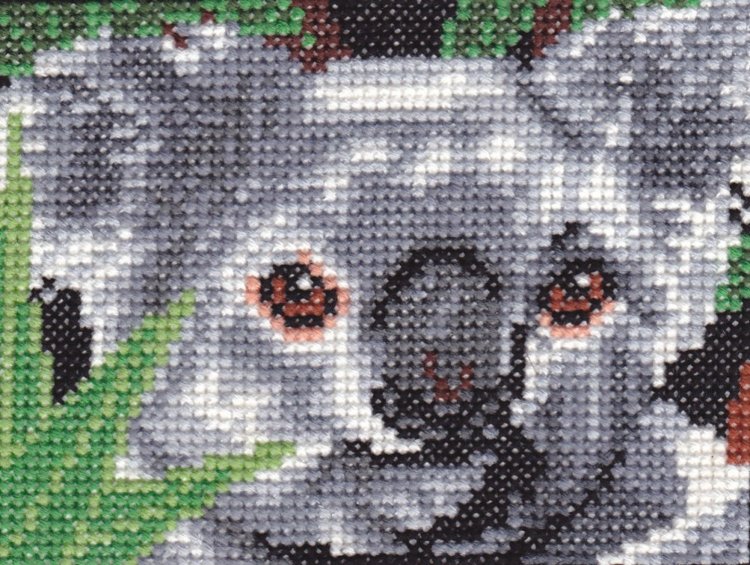 Elizabeth Jostar Jojo