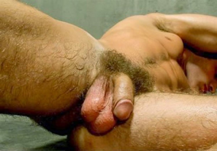 Huge hairy member of a man