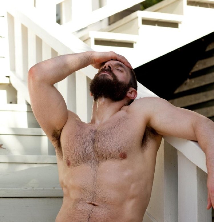 The most beautiful penis dicks