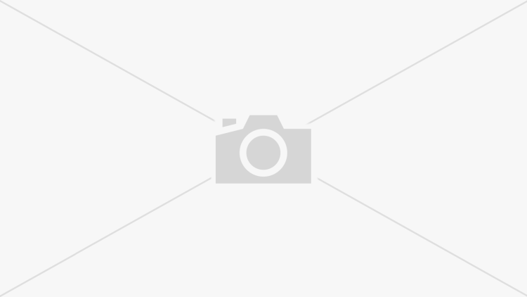 RDR 2 Sadi Adler Art