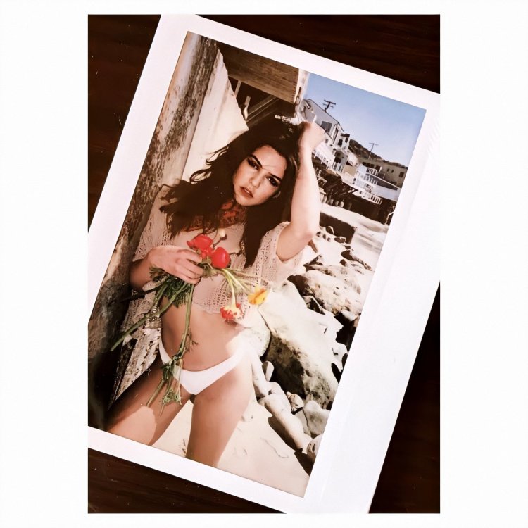 Scott Campbell drawings