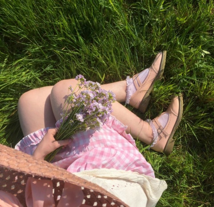 Picnic aesthetics of a girl