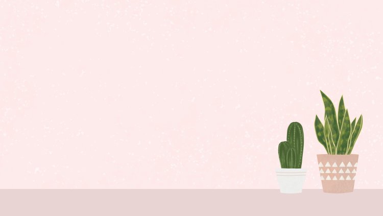 Cactus minimalism
