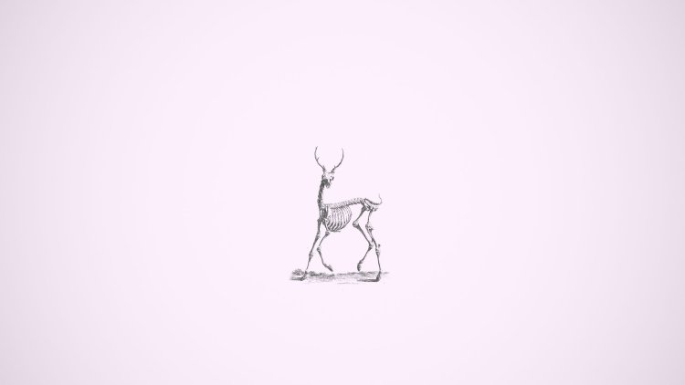 Minimalistic drawings