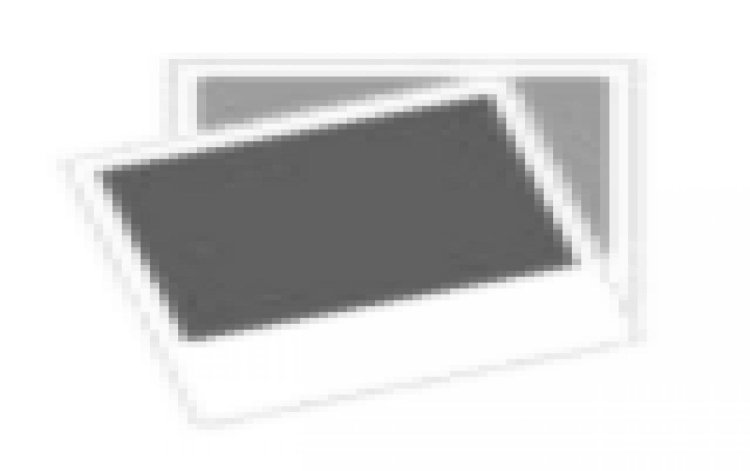 Maman LS-C003 heater