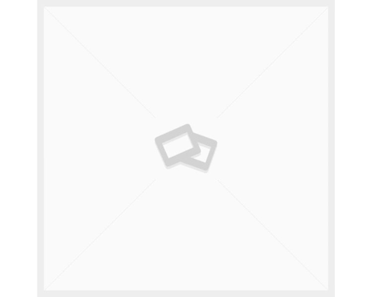 MSI 865GVM2-LS motherboard