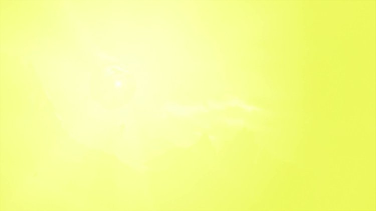 MSI 865GVM2-LS motherboard