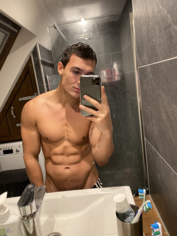 Levy Van Wilgen Model