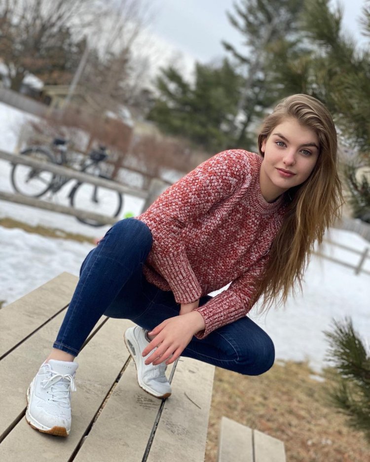 BPW 295x430 shock absorber